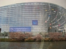 Parlamento europeo 3.JPG